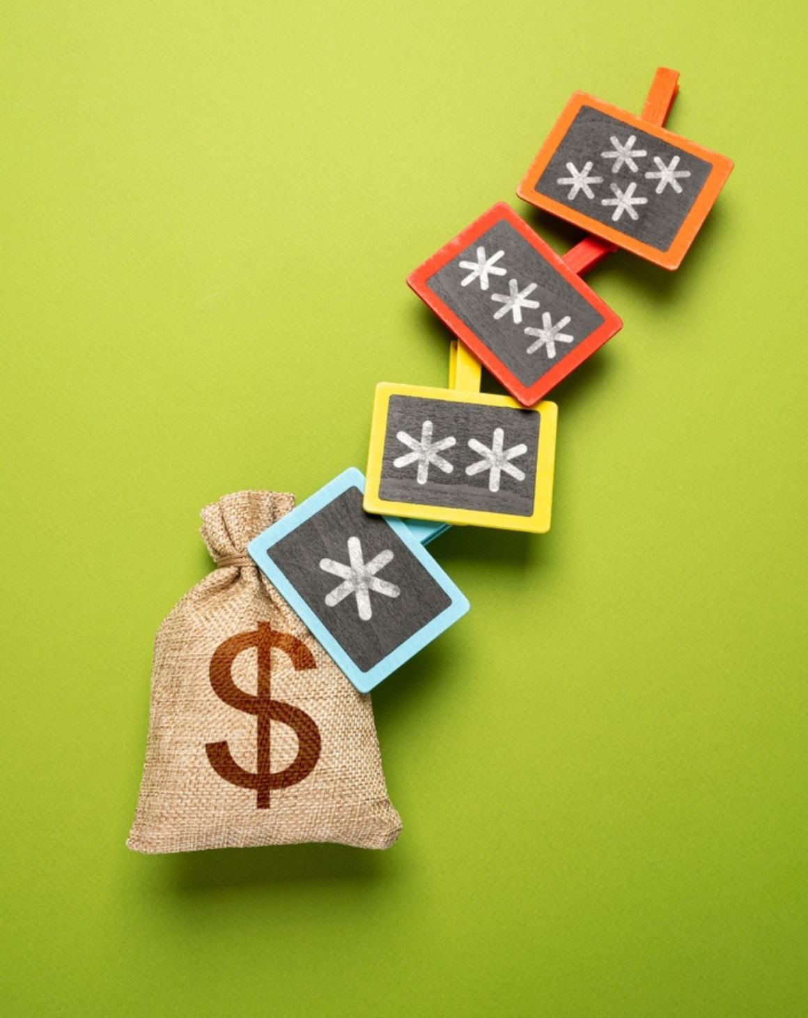a bag of money